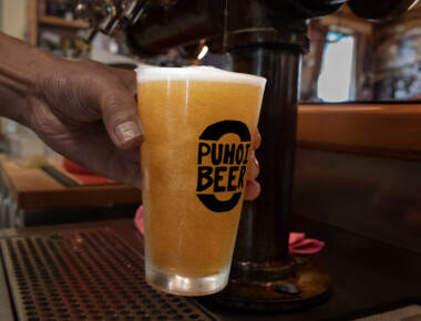 Pour the Perfect Puhoi Pilsner Beer at the Puhoi Pub