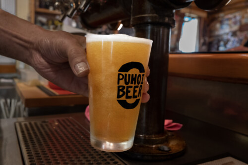 Pour the Perfect Puhoi Pilsner Beer at the Puhoi Pub
